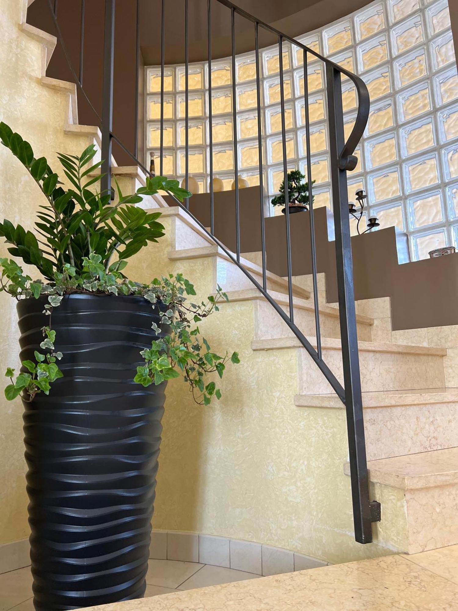 Casa I Cedri Apartment Borgo San Dalmazzo Luaran gambar